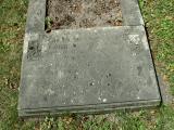 image of grave number 301135